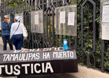 Protesta Danna Yanina Tampico
