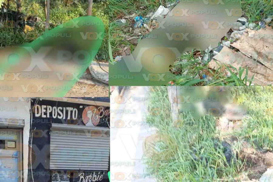 Reynosa sin vida hombre baldío