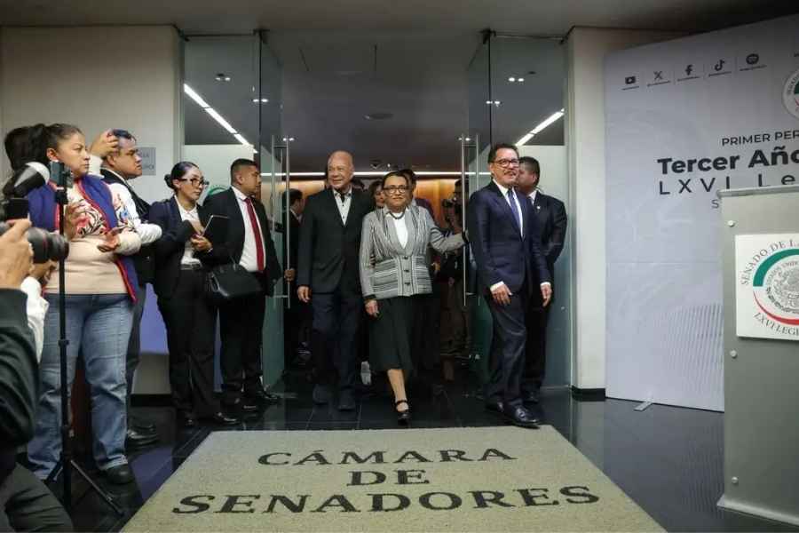 Rosa Icela condiciones elecciones