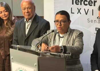 Rosa Icela condiciones elecciones