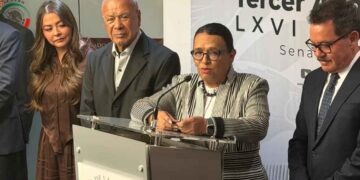 Rosa Icela condiciones elecciones