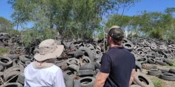 SEDUMA llantas en Reynosa