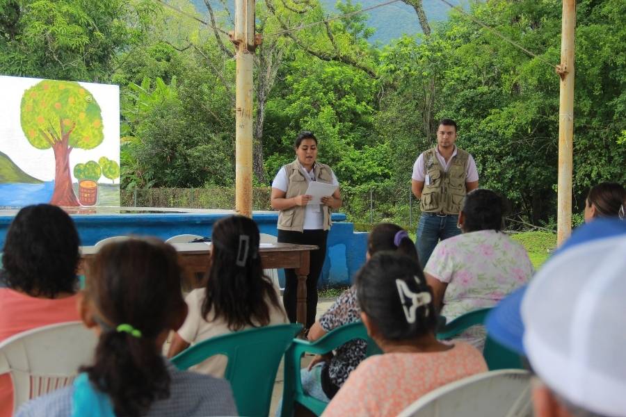 Servicio Universal de Salud
