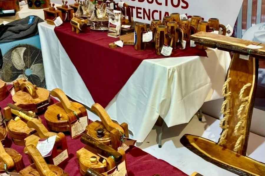 Sspt Cedes stand artesanias
