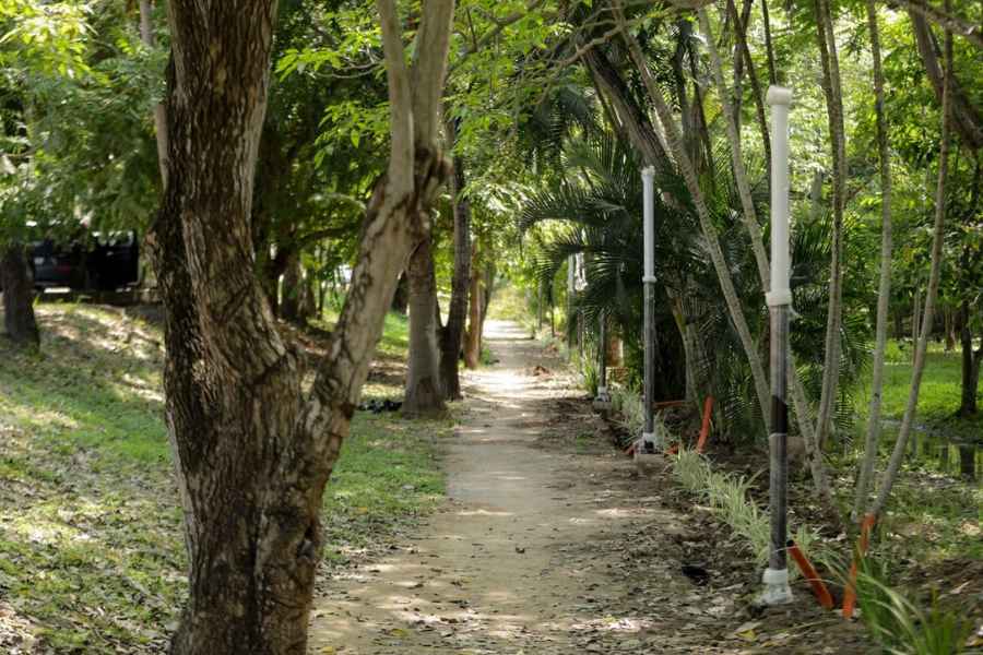Tampico Sendero Seguro en Tancol (1)