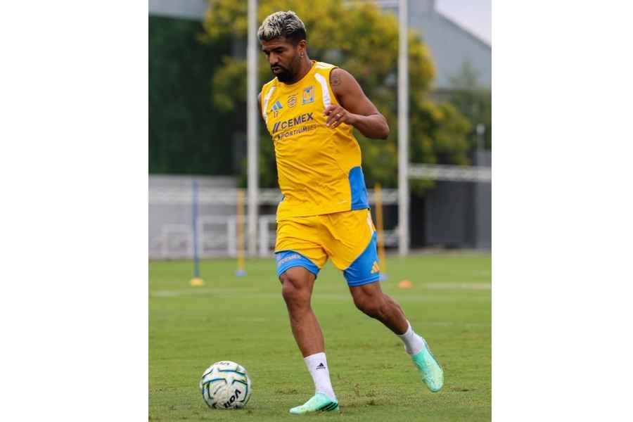 Tigres Jornada 11