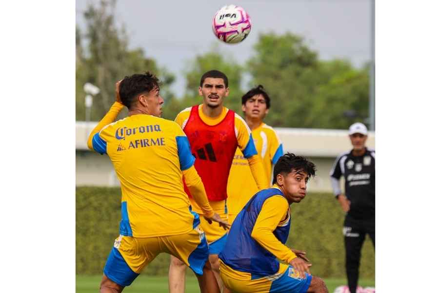 Tigres regla de menores