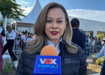 Violencia familiar denuncias Tamaulipas