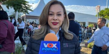 Violencia familiar denuncias Tamaulipas