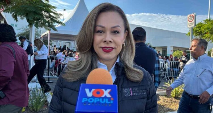 Violencia familiar denuncias Tamaulipas