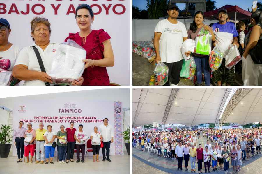 _apoyos a despicadoras en Tampico (1)
