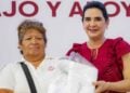_apoyos a despicadoras en Tampico