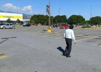 árboles en estacionamientos en Tamaulipas
