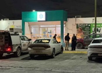 ataque de abejas en García