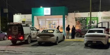 ataque de abejas en García