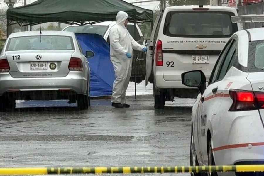 atropellada 31 diciembre Guadalupe