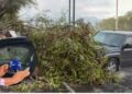 atropellados reportera y camarógrafo en Monterrey