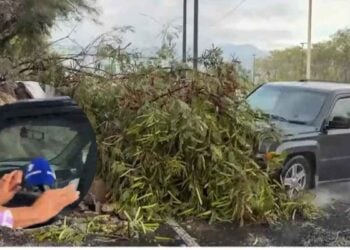 atropellados reportera y camarógrafo en Monterrey