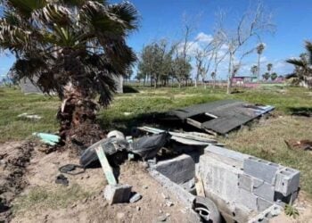 camioneta palmera Matamoros