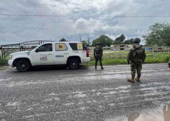 capturan león en Matamoros
