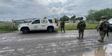 capturan león en Matamoros
