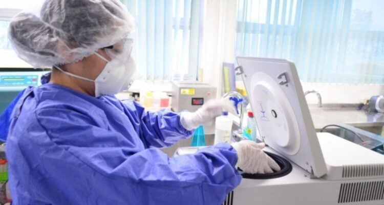 casos de Covid-19 en Tamaulipas
