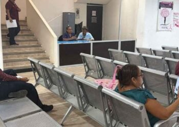 casos pediculosis niños Tampico