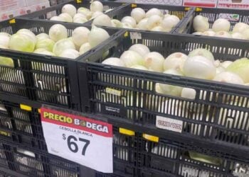 cebolla blanca Ciudad Victoria