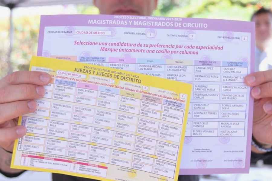 consejera Frida Gomez amenazas