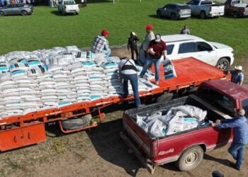 distribución fertilizante citricultores Hidalgo