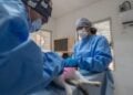 esterilización de perros y gatos Nuevo Laredo