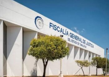 investigación por violencia familiar Tamaulipas