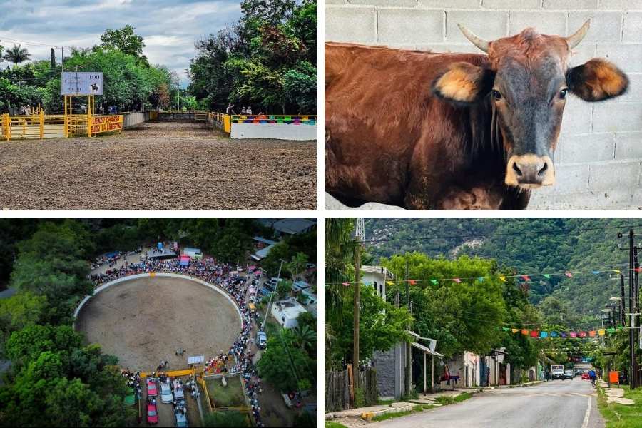 jaripeo en Tamaulipas