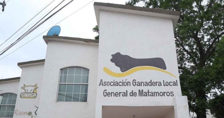 lluvias ganaderos norte de Tamaulipas
