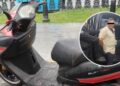 _motociclista Monterrey placa