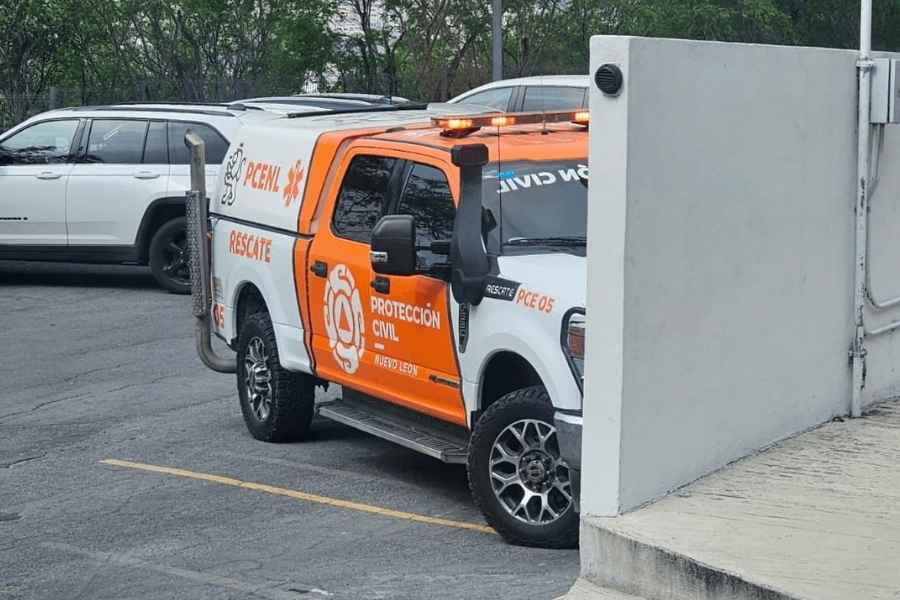 oso San Jerónimo en Monterrey