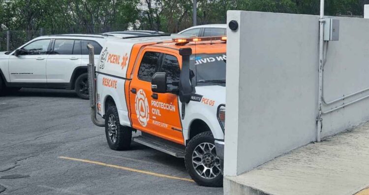 oso en Colinas de San Jerónimo en Monterrey