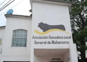 padrón ganadero en Matamoros