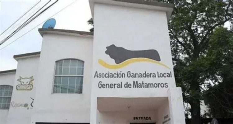 padrón ganadero en Matamoros