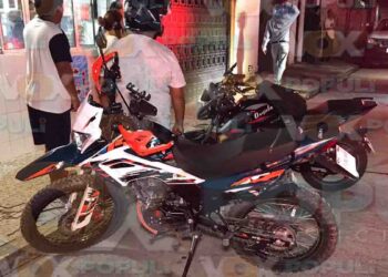 perro victoria motociclista