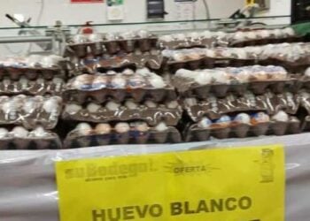 precio huevo Ciudad Victoria