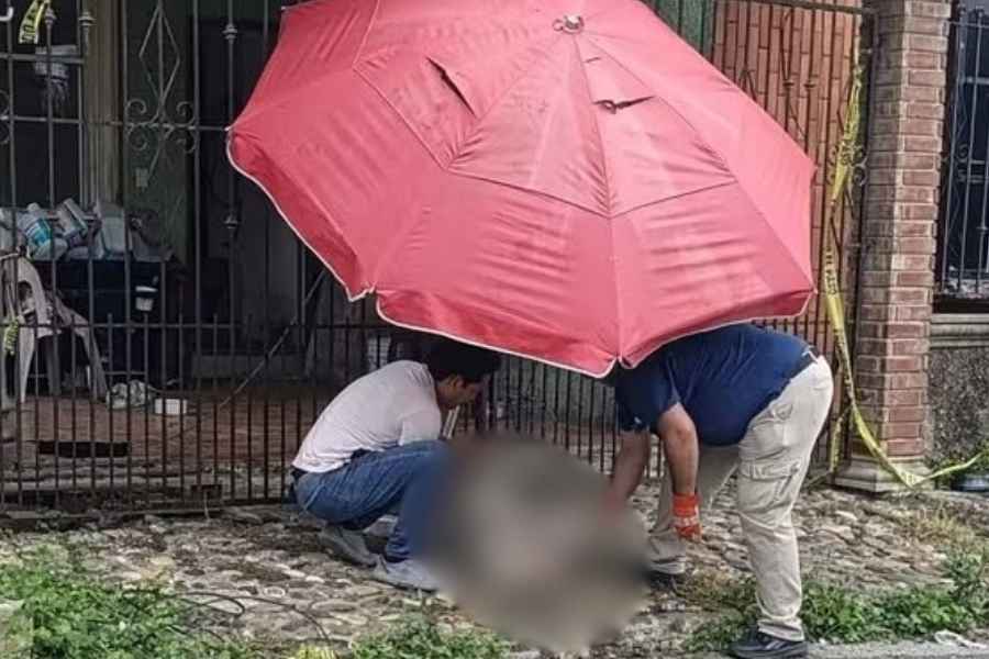 presunto maltrato perro Tampico