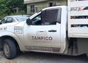 presunto maltrato perro Tampico