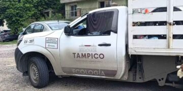 presunto maltrato perro Tampico