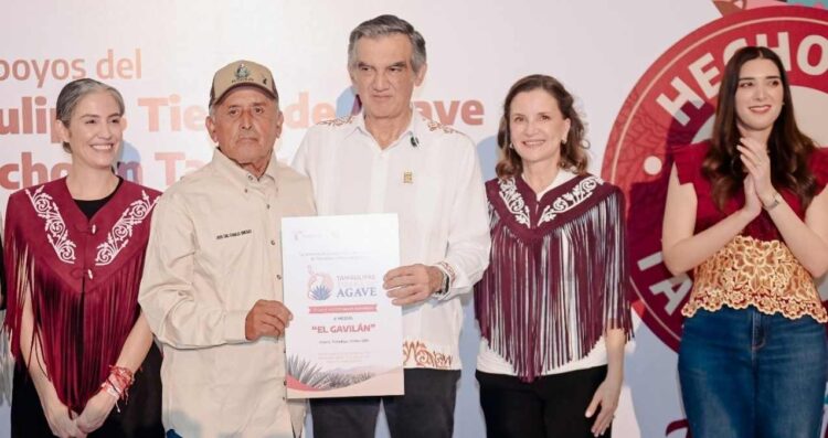 Impulsa Tamaulipas la cadena productiva del agave con apoyos por 8 millones de pesos