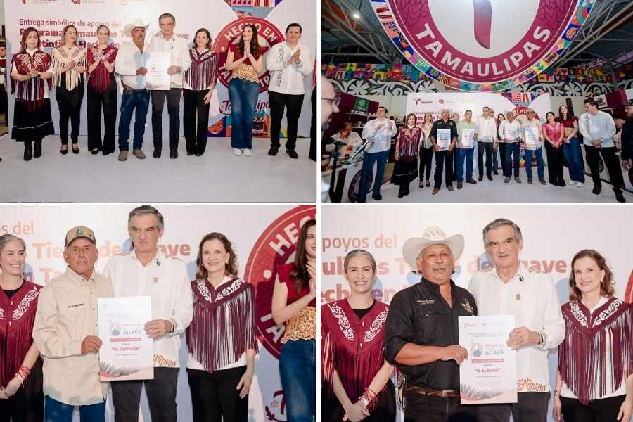 producción de agave apoyos Tamaulipas
