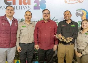 recorridos escolares Feria Tamaulipas