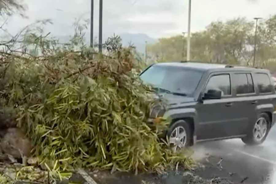reportera camarografo estables Monterrey