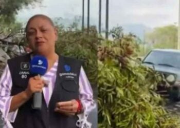 reportera camarografo estables Monterrey