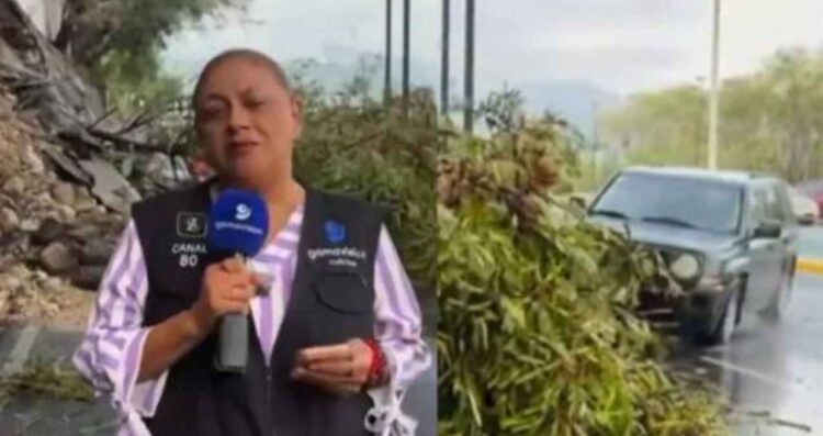 reportera camarografo estables Monterrey